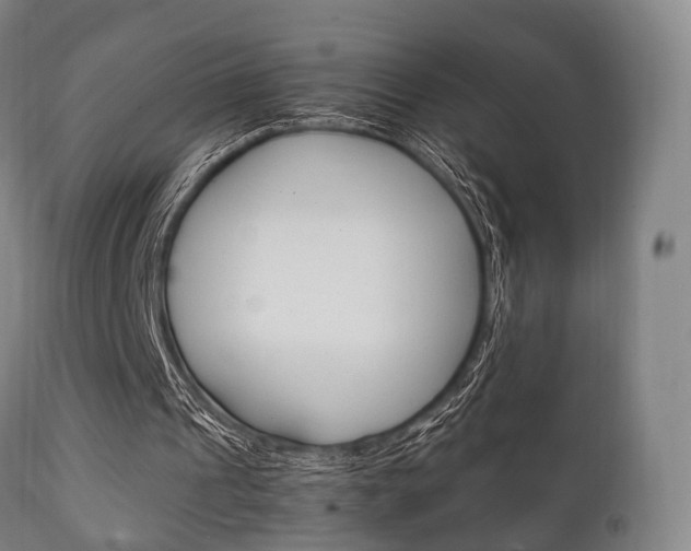 X0000111900241200907271017