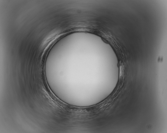 X0000111900243200907271017