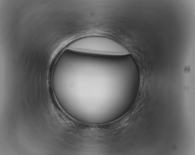 X0000111900244200907271017