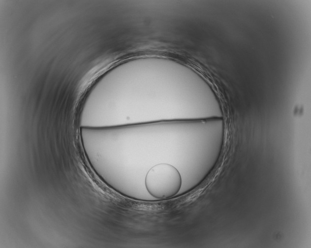 X0000111900245200907271017