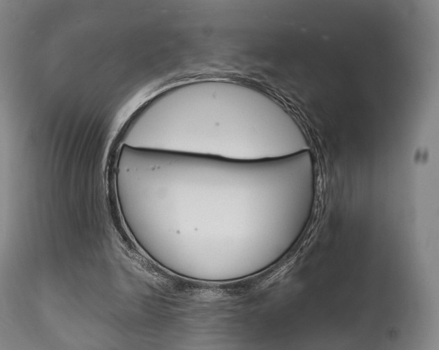 X0000111900246200907271017