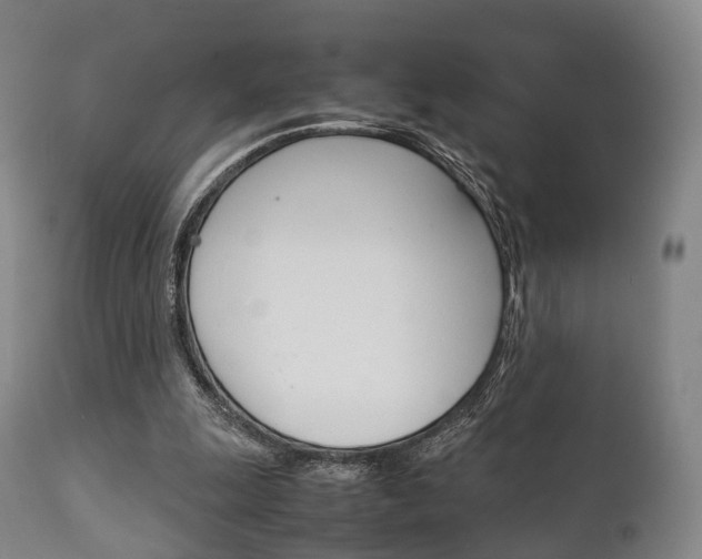 X0000111900247200907271017
