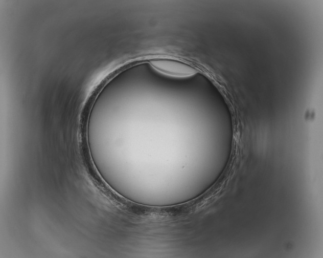 X0000111900248200907271017