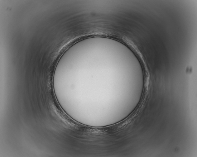 X0000111900249200907271017