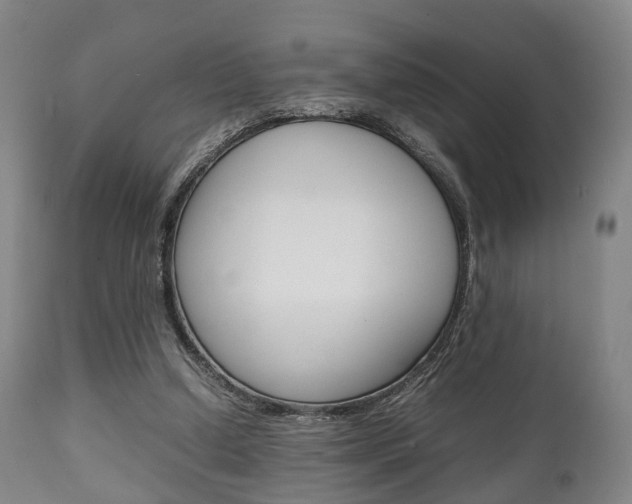 X0000111900250200907271017