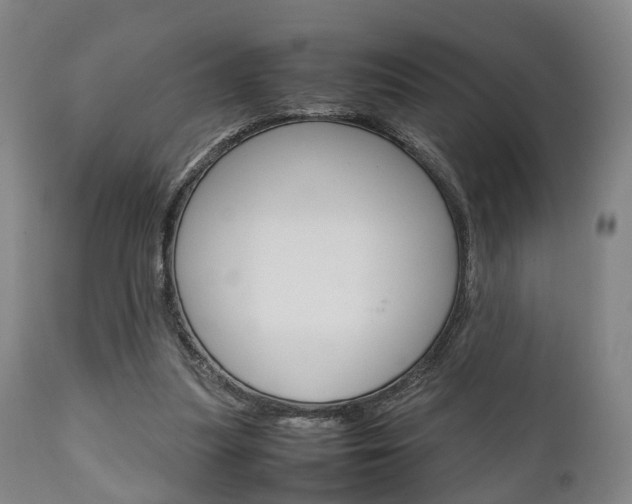 X0000111900251200907271017