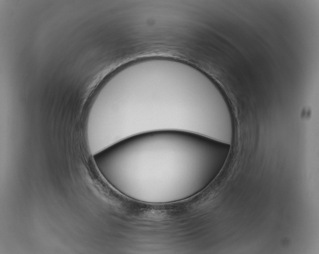 X0000111900252200907271017