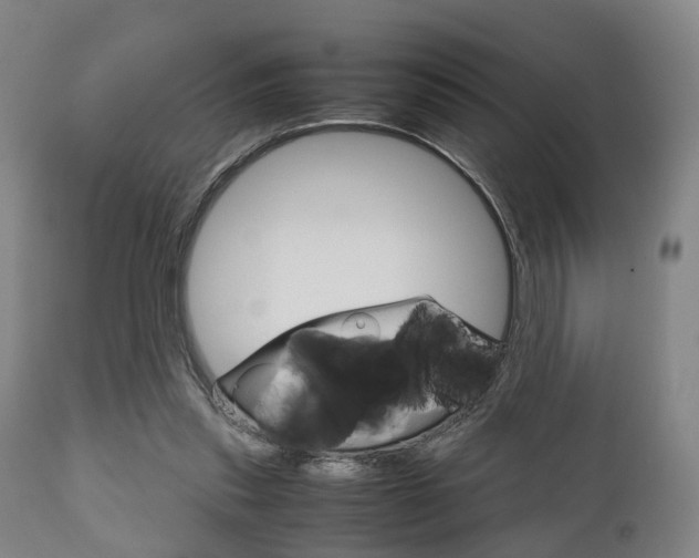 X0000111900253200907271017