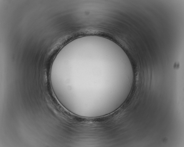 X0000111900254200907271017