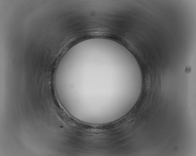 X0000111900255200907271017