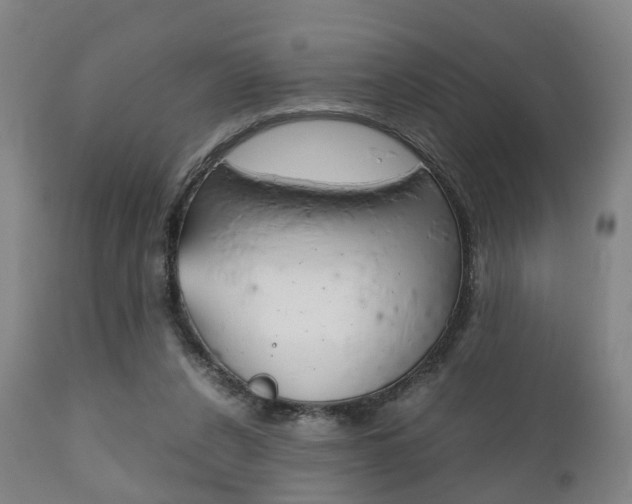 X0000111900256200907271017