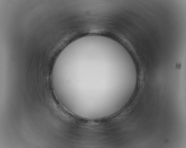 X0000111900257200907271017