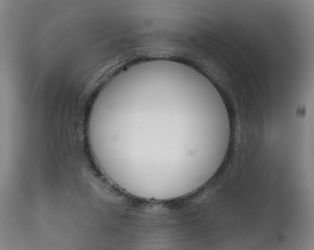 X0000111900258200907271017