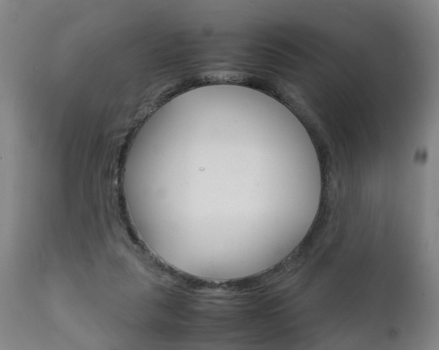 X0000111900259200907271017