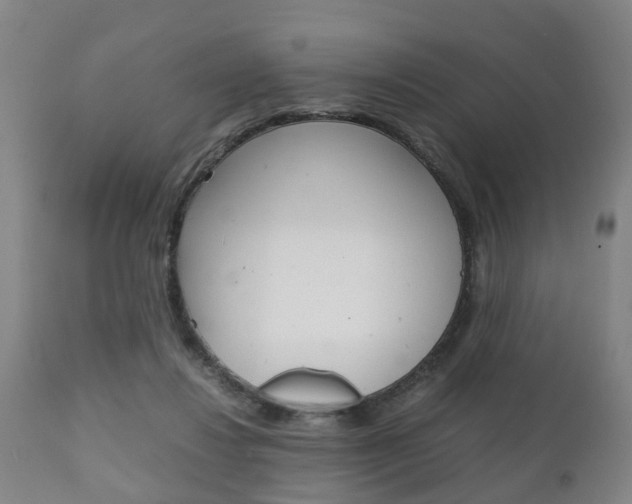 X0000111900260200907271017