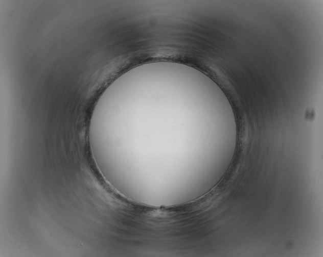 X0000111900261200907271017