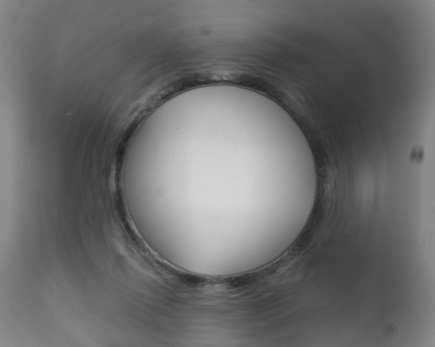 X0000111900262200907271018