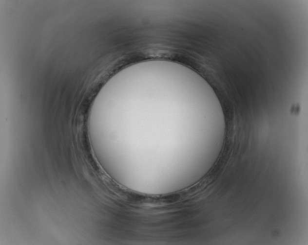 X0000111900263200907271018