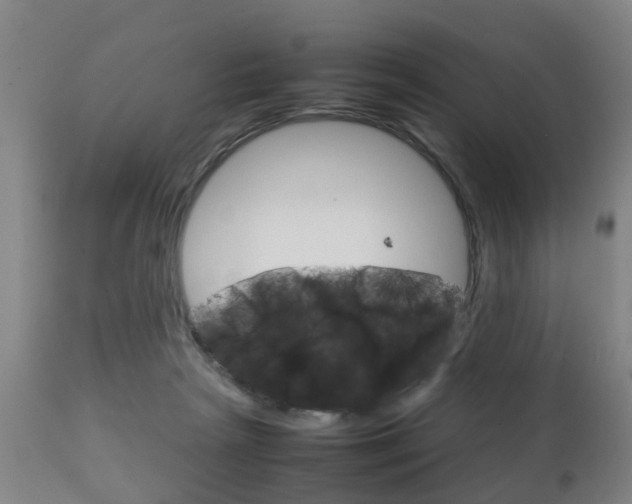 X0000111900265200907271018