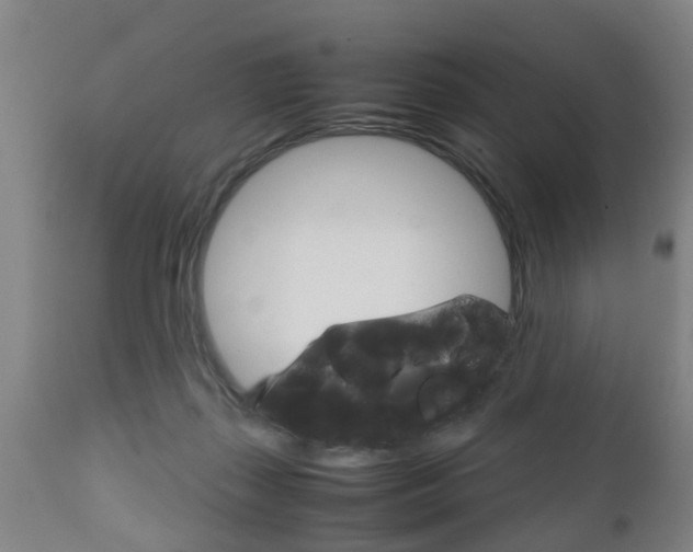 X0000111900267200907271018