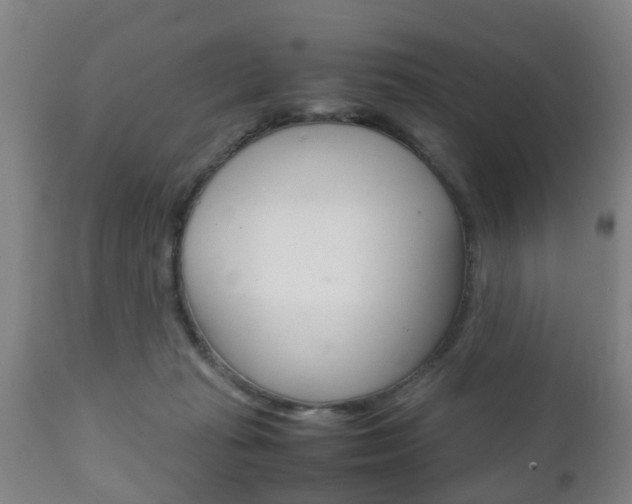 X0000111900269200907271018