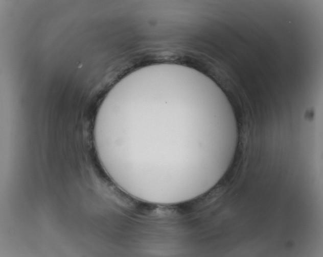 X0000111900270200907271018
