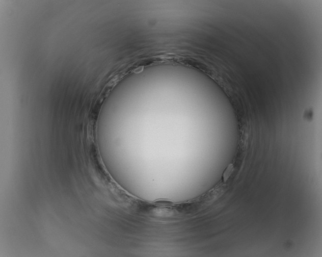 X0000111900272200907271018