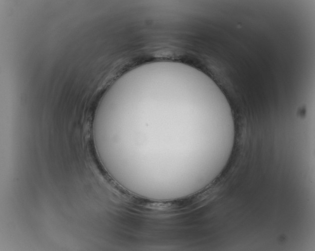X0000111900273200907271018