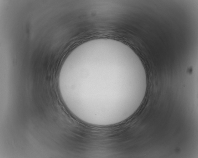 X0000111900276200907271018