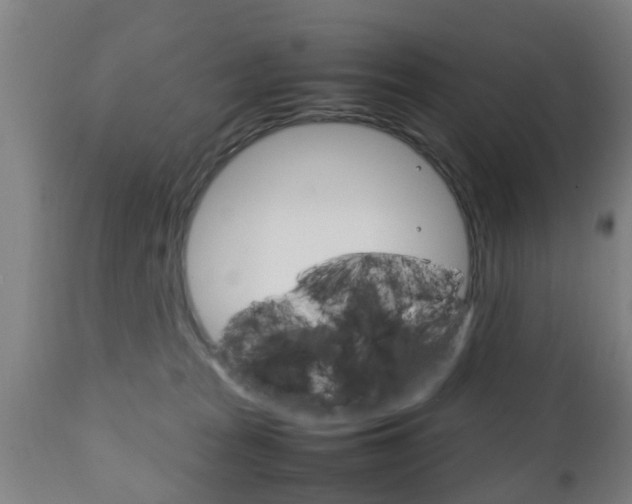 X0000111900277200907271018