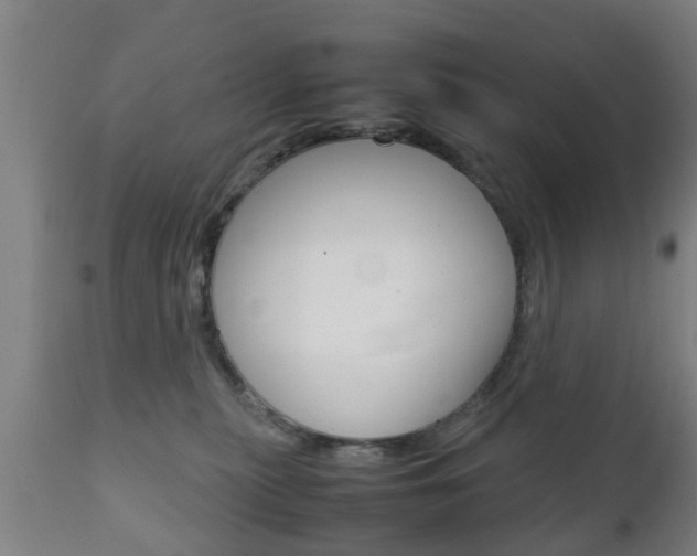 X0000111900279200907271018