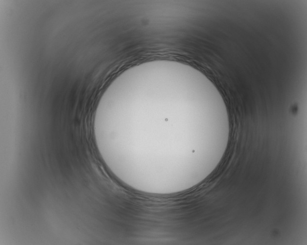 X0000111900280200907271018