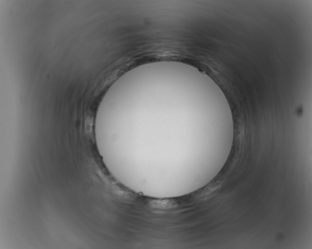 X0000111900281200907271018