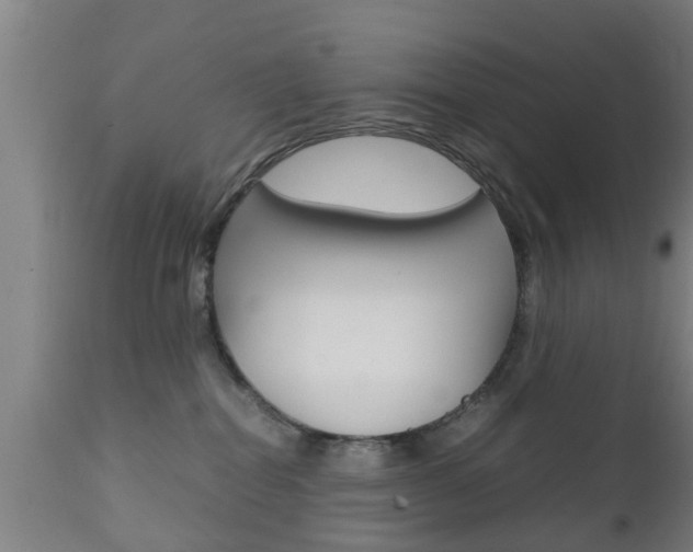 X0000111900282200907271018