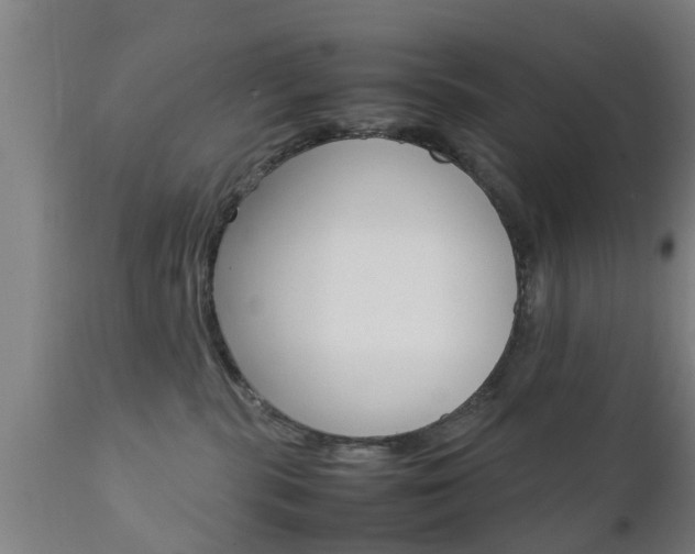 X0000111900283200907271018