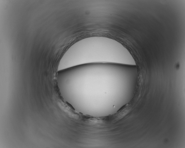 X0000111900284200907271018