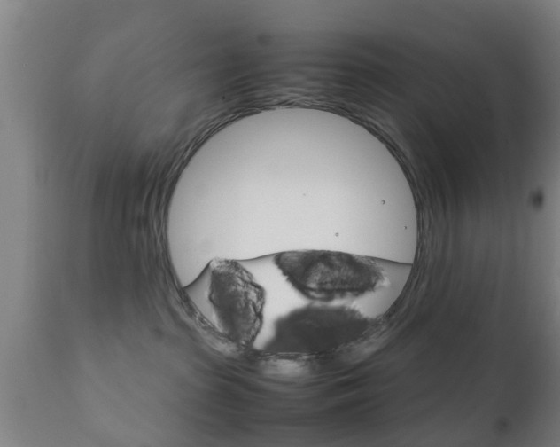 X0000111900285200907271018