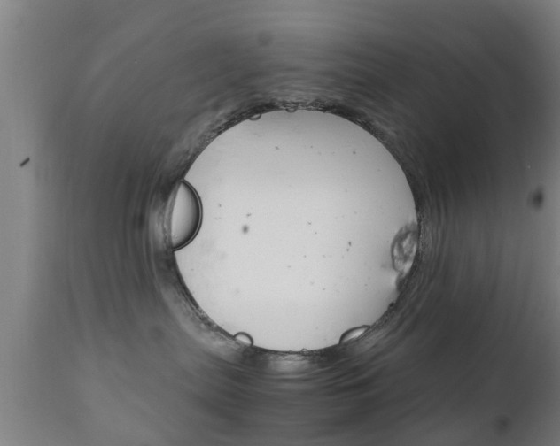 X0000111900287200907271018