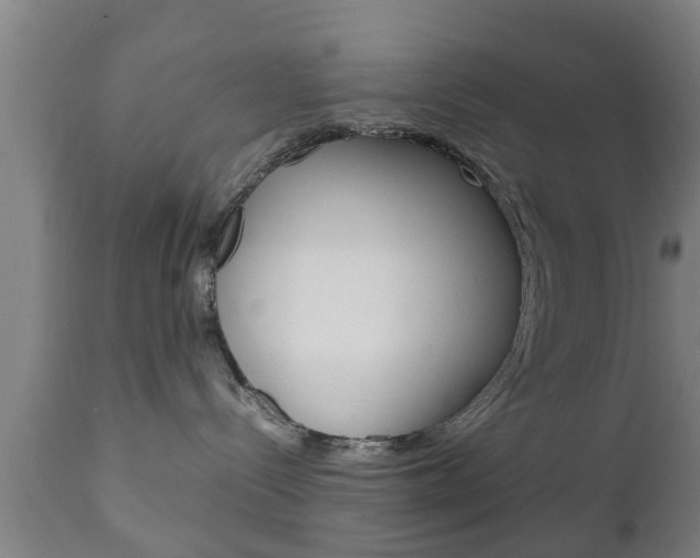 X0000111900288200907271018