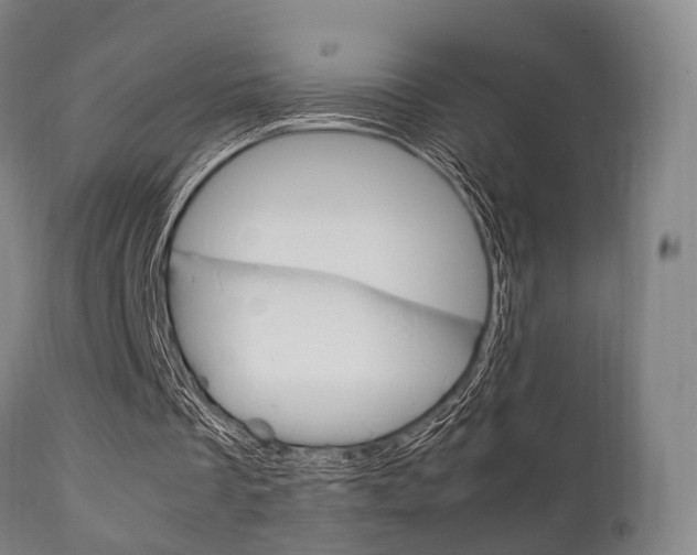 X0000111900289200907271017