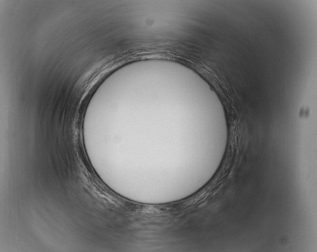 X0000111900290200907271017