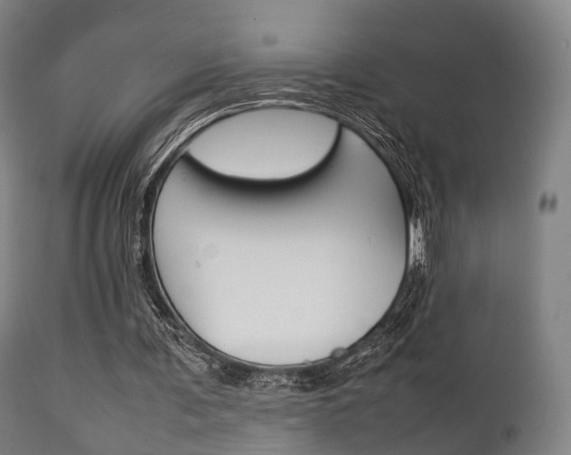 X0000111900291200907271017