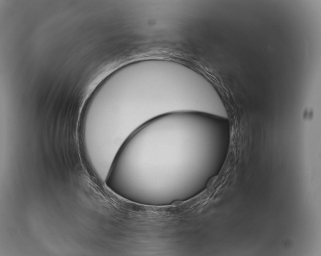 X0000111900292200907271017