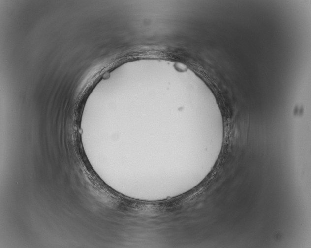 X0000111900293200907271017