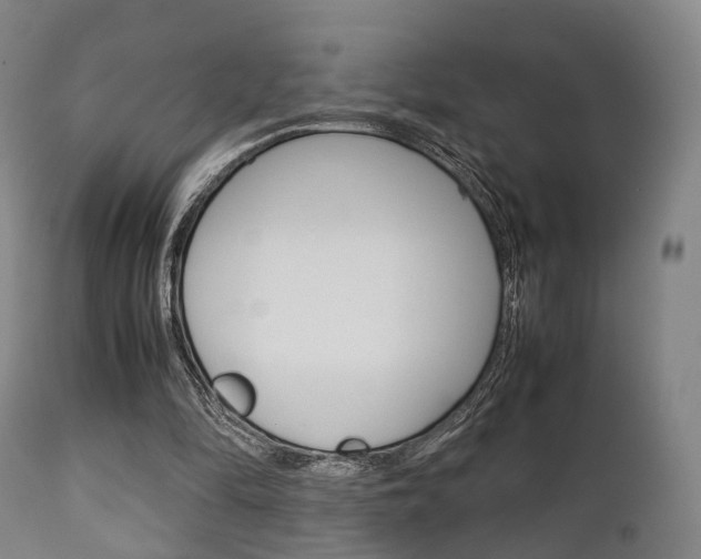 X0000111900294200907271017