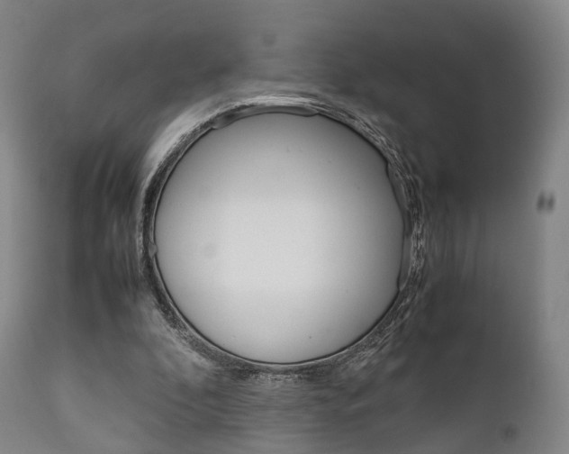 X0000111900296200907271017