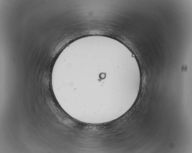 X0000111900297200907271017