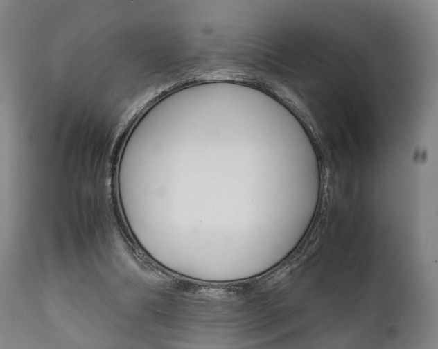 X0000111900298200907271017