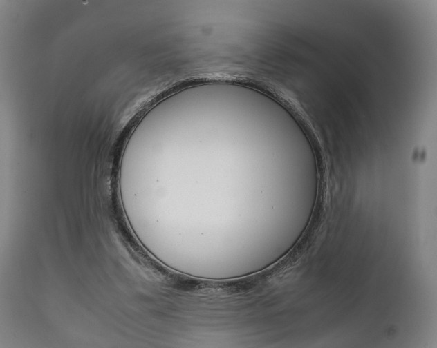 X0000111900299200907271017