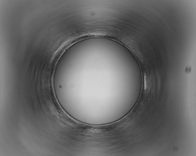 X0000111900300200907271017